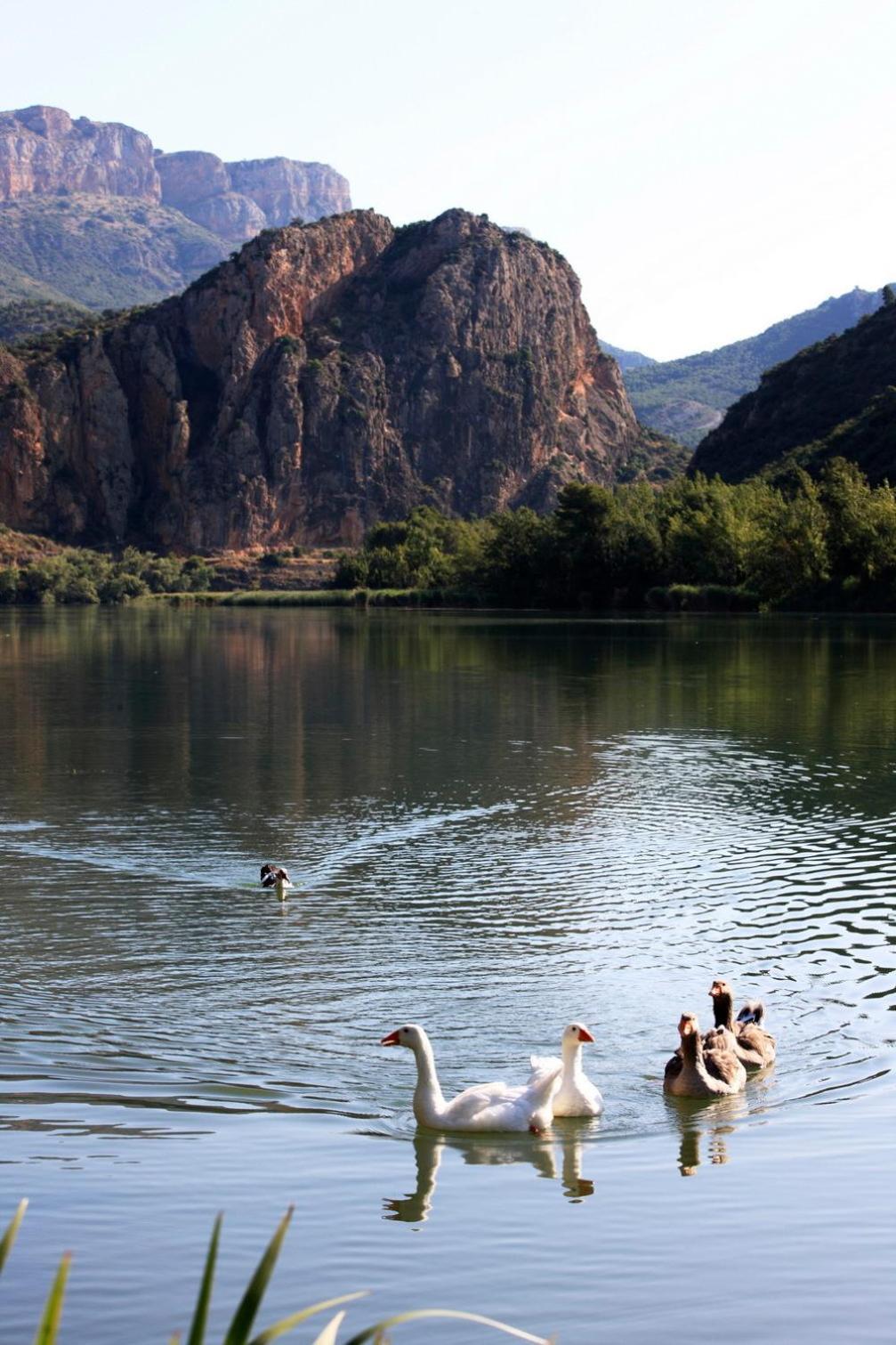 La Noguera Camping Sant Llorenç de Montgai Zewnętrze zdjęcie
